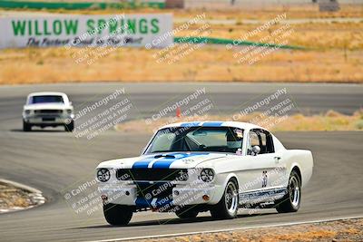 media/Oct-26-2024-Cobra Club (Sat) [[ed594ebad6]]/White Group/Session 2 (Turn 4)/